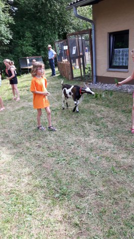 Sommer 2016 (8)